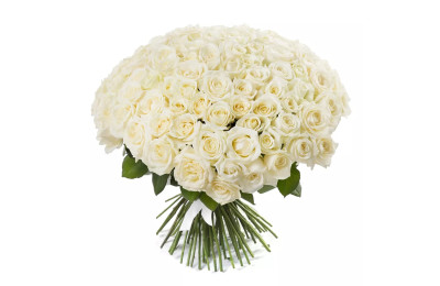 101 біла троянда в Варшаві