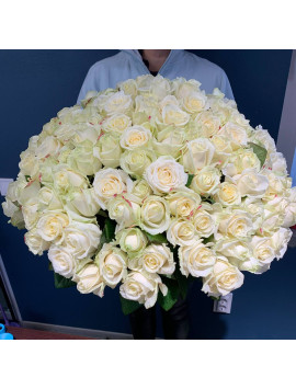 Інеса Інеса