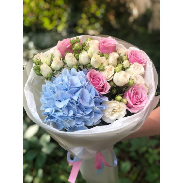 Ніжна акварель