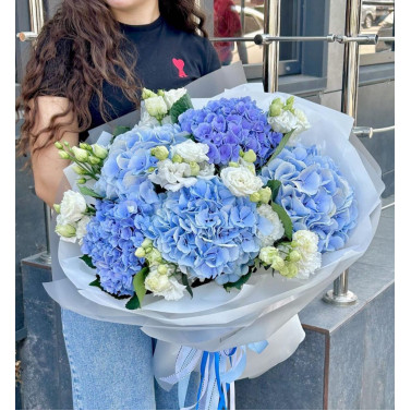 Північне сяйво Північне сяйво