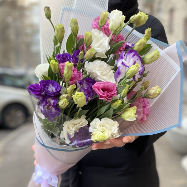 Агата Агата