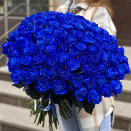 101 blue roses