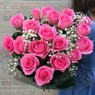 Рожева елегантність Рожева елегантність