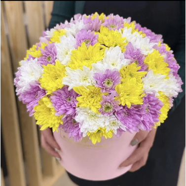 Вікторія Вікторія