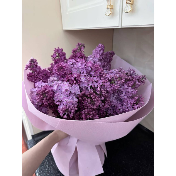 Мелодія бузку