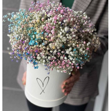 Дженніфер Дженніфер