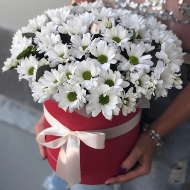 Регіна Регіна