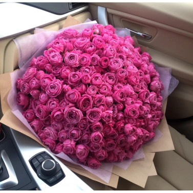 101 піоноподібна кущова троянда 101 піоноподібна кущова троянда