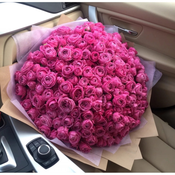 101 піоноподібна кущова троянда