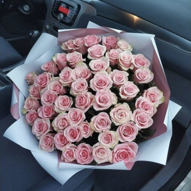 Шейла Шейла