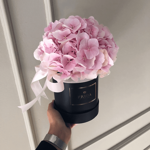 Фріда Фріда