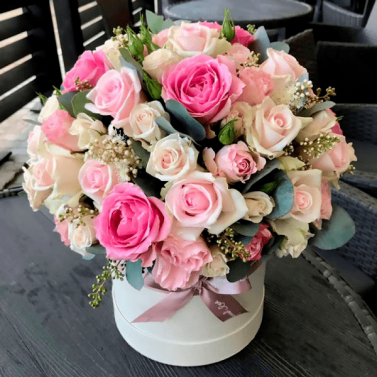 Бархатні Сни Бархатні Сни