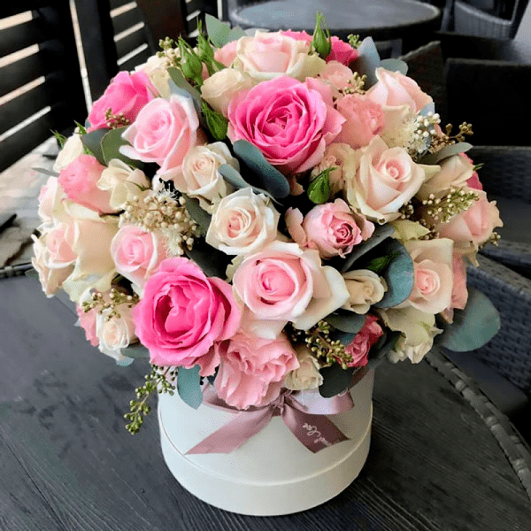 Бархатні Сни Бархатні Сни