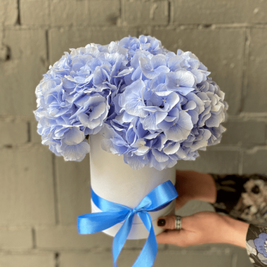 Інеса Інеса