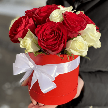 Кароліна Кароліна