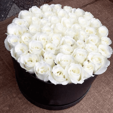 Пенелопа Пенелопа