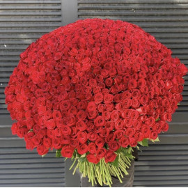 Magie von 1001 Rosen