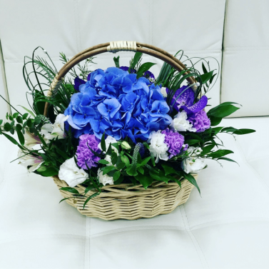 Розана Розана