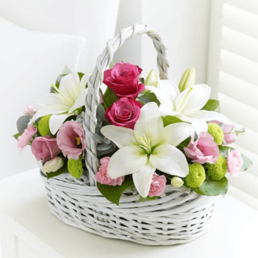 Гвінет Гвінет