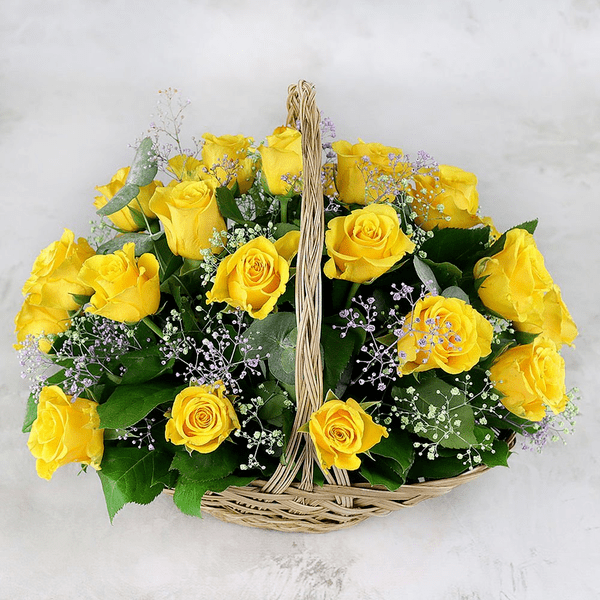 Амбер Амбер