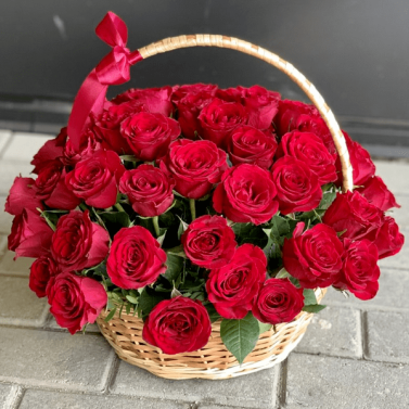 Роберта Роберта