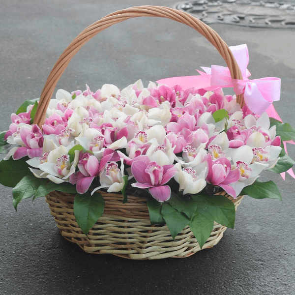 Селіна Селіна