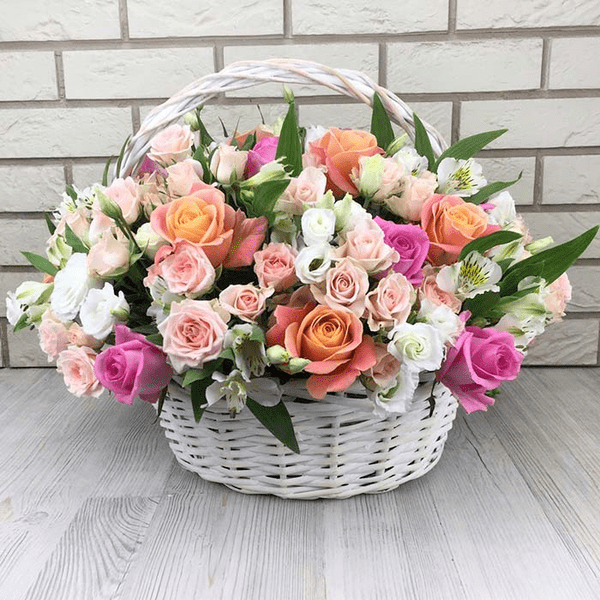 Джолі Джолі