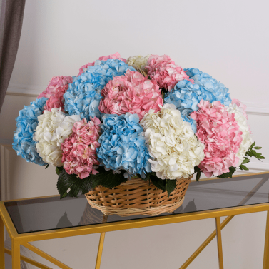 Корнелі Корнелі