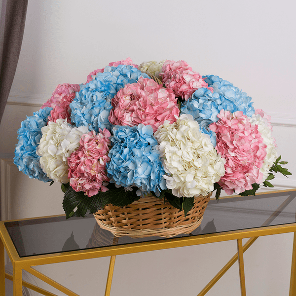 Корнелі Корнелі