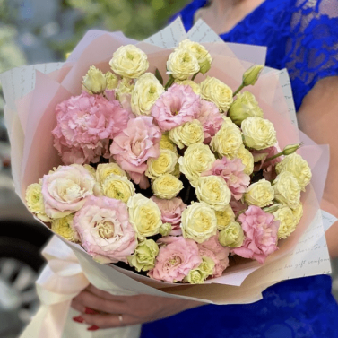 Авріл Авріл