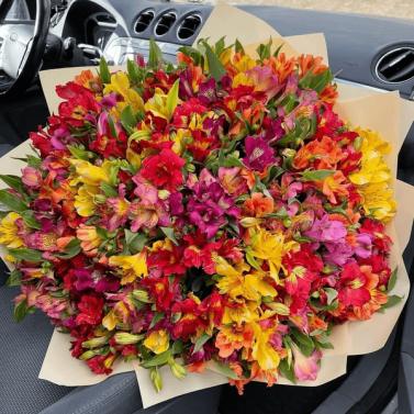 Таїсія Таїсія