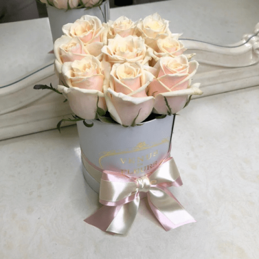 Стефанія Стефанія