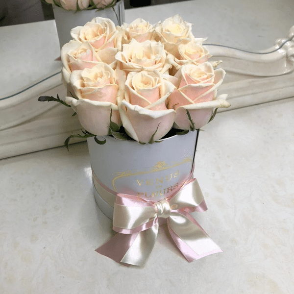 Стефанія Стефанія