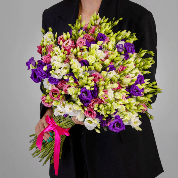 Ізольда Ізольда