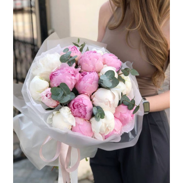 Асоль Асоль