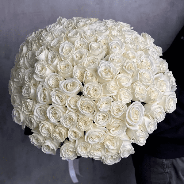 Біла Симфонія: 101 Троянда Біла Симфонія: 101 Троянда