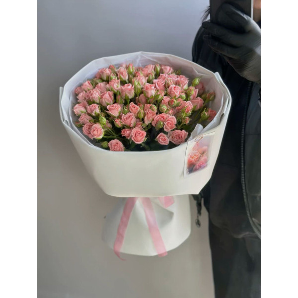 Рожева Оаза Рожева Оаза