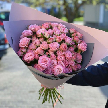 Чарівність Чарівність