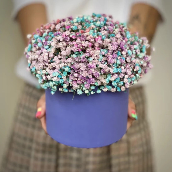 Květinová paleta s gypsophila Květinová paleta s gypsophila