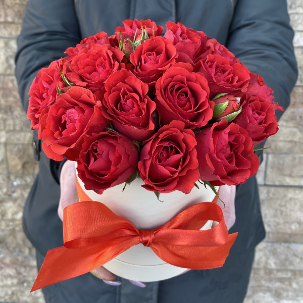 Троянди Восторгу Троянди Восторгу