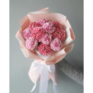 Чарівність гвоздик Чарівність гвоздик