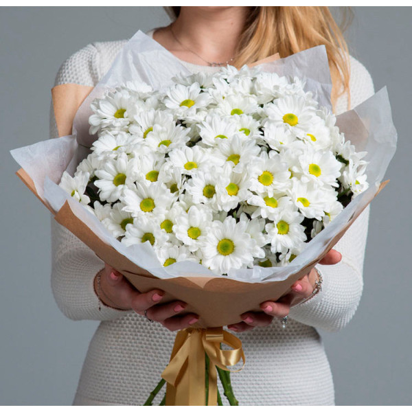 Bright Oasis Bright Oasis