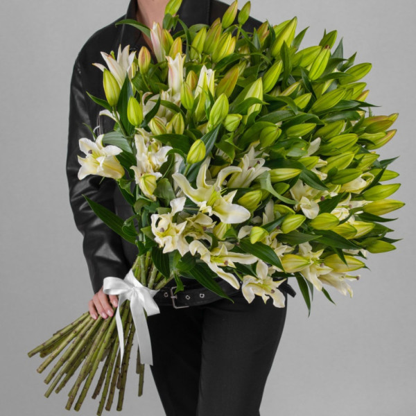 19 лілій 19 лілій