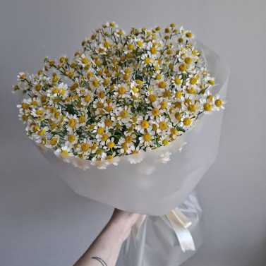 Bouquet di margherite «Leggero»