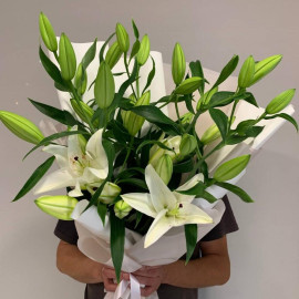 Bouquet aus 5 frischen Lilien — das perfekte Geschenk