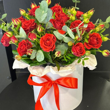 Червоні Вогні