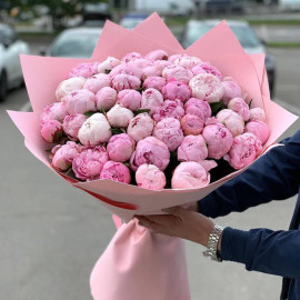 51 Півонія