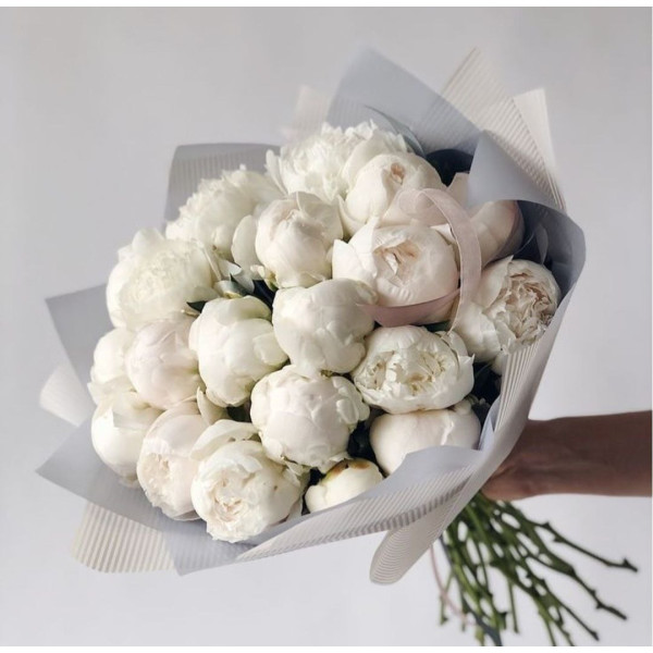 21 біла півонія 21 біла півонія