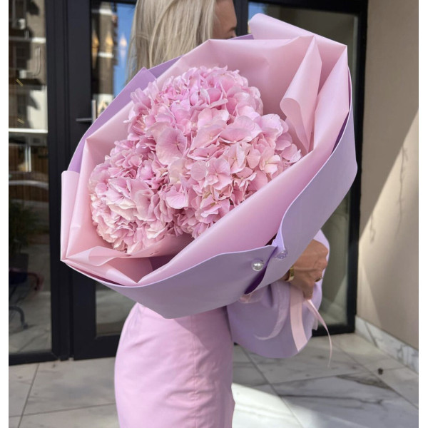 Рожева ніжність Рожева ніжність