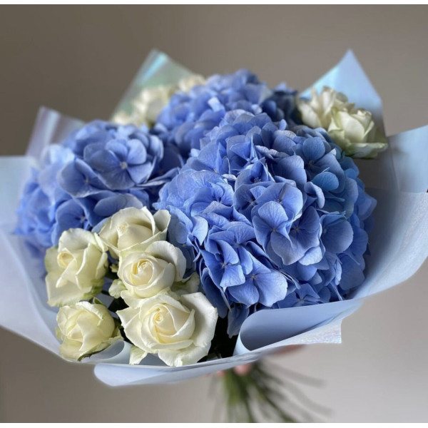 Синя гармонія Синя гармонія